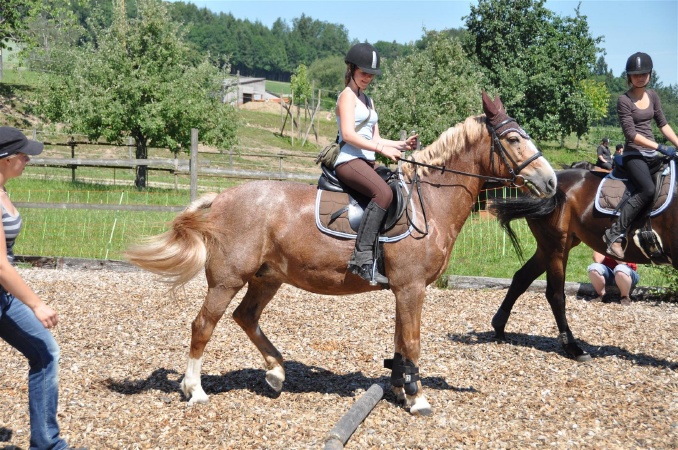 DSC_0419 - HOMEPAGE.JPG